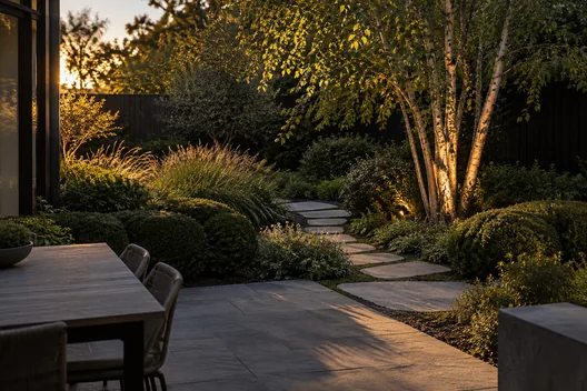 A garden at golden hour, a bluestone path through layered planting with uplit birch trunks